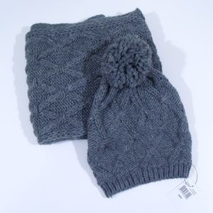 Altare Gray Boulce Hat & Loop Scarf Set NWT